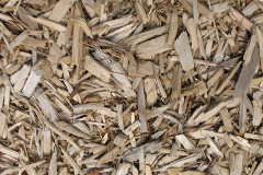 biomass boilers Foxup